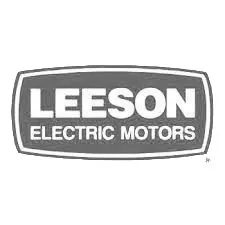 leeson electric logo