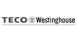 techo westing logo